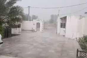 فقط در یک ساعت ۵۰ میلی‌متر باران در بندرعباس بارید!