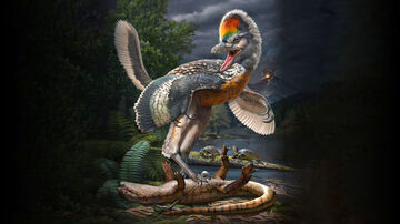 تصویر شگفت‌انگیز از عظمت یک پرنده باستانی