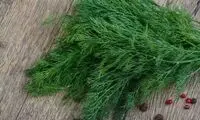 خواص «شوید» از دیدگاه طب سنتی