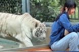 دیوار شیشه‌ای، دختر جوان را از مرگ حتمی نجات داد