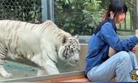 دیوار شیشه‌ای، دختر جوان را از مرگ حتمی نجات داد