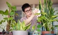 ۱۰ کاربرد جالب چای کیسه ای برای سلامت بدن