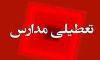 شفاف‌سازی درباره خبر تعطیلی مدارس به‌ دلیل «شپش»!