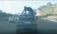 حماقت محض اگر عکس بود!