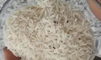 3 راه از بین بردن تضمینی حشره برنج