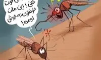 اینم مشکل جدید پشه‌ها برای نیش‌زدن مردم!