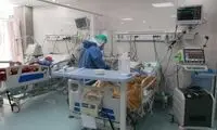 طب سنتی؛ از کوتاه شدن آلت تناسلی تا عنکبوت شدن ایرانیان