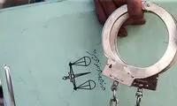 ماجرای کلیپ جنجالی نماینده زنِ مجلس
