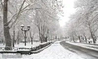 تصاویری از بارش برف شدید در سعادت‌آباد تهران