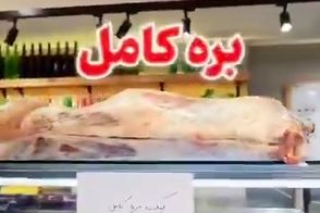 طی 25سال یک گوسفند در ایران تبدیل به تیتاپ شد!