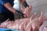 قیمت واقعی هر کیلو مرغ رسما اعلام شد