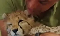 عکسی از لحظه وداع علیرضا با پیروز که اشک همه را درآورد