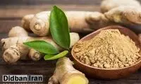 خواص دارویی فوق‌العاده زنجبیل