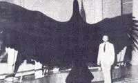 5 پرنده ماقبل تاریخ که خوشبختانه منقرض شده‌اند