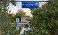 غرق شدن دو کودک در حوضچه پارک زیتون تهران
