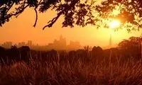 آیا سال ۲۰۲۳ گرم‌ترین سال تاریخ خواهد بود؟