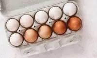 تخم‌مرغ قهوه‌ای و سفید، آیا واقعاً تفاوتی وجود دارد؟