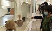 دستور بازگشایی تمام موزه‌ها و محوطه‌های تاریخی داده شد