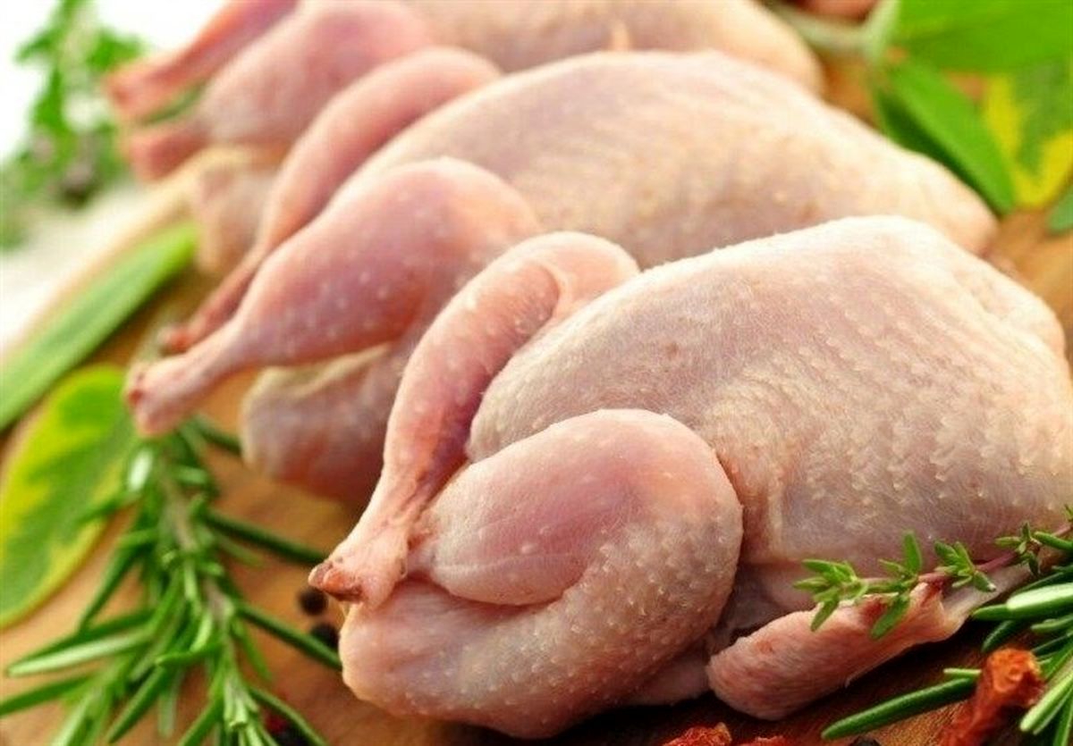 وضعیت اسفناک کمبود مرغ در بازار