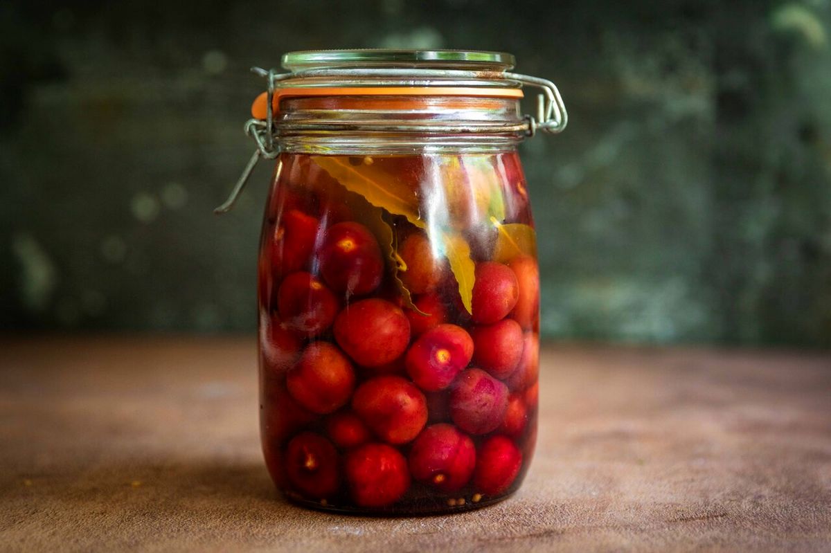   فوت و فن تهیه ترشی گیلاس خوشمزه 