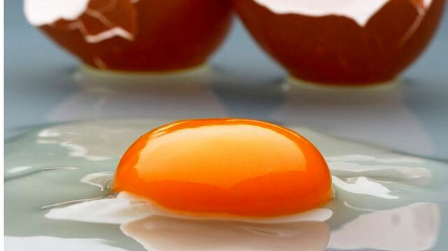 چرا زرده بعضی تخم‌مرغ‌ها کم رنگ است؟