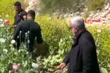 امحای مزرعه خشخاش در کازرون