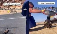 سیراب کردن کرکس‌های در حال تلف شدن از گرما