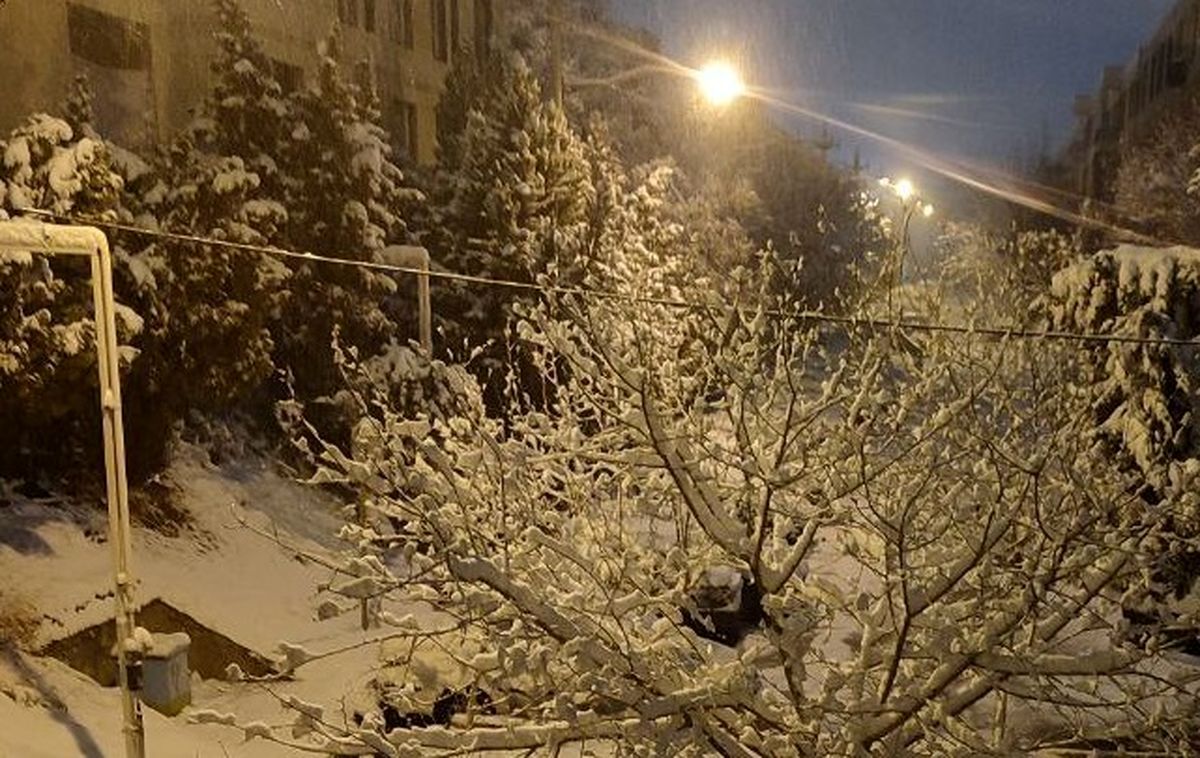   بارش شدید برف صبحگاهی در تهران 