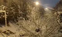 بارش شدید برف صبحگاهی در تهران