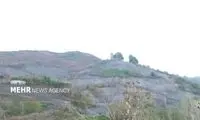 آتش‌سوزی عمدی در باغات کومله گیلان مهار شد