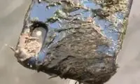 با سرسخت‌ترین گوشی جهان آشنا شوید