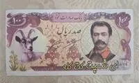 قیمت‌گذاری عجیب برای «پول برره» در فروشگاه آنلاین!
