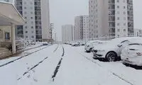 آغاز بارش برف در پردیس تهران