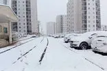آغاز بارش برف در پردیس تهران