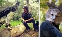 چهره ترسناک این پرنده هوش را از سر می‌پراند!