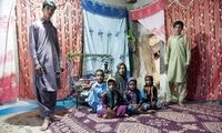 برخی اتباع اخراجیِ افغان، ایرانی از آب درآمدند!