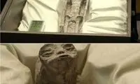 آدم‌فضایی رونمایی شده همان اجنه زمان سلیمان هستند!
