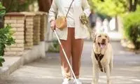 تکنولوژی تازه‌ای که نابینایان را بی‌نیاز می‌کند