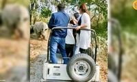 حمله هولناک کرگدن عصبانی به خودروی گردشگران