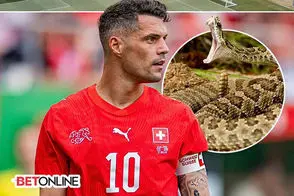 هشدار هجوم مارها در آستانه جام جهانی ۲۰۲۶