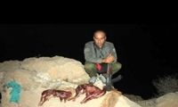 محیط‌بان برجسته ایرانی به شهادت رسید