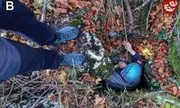 کشف حلزون ناشناخته «شیشه‌ای» در این گودال