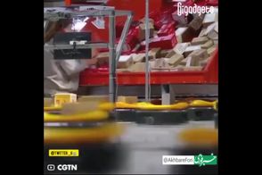 ویدیویی از طرز کار ربات‌های چینی که گیجتان می‌کند