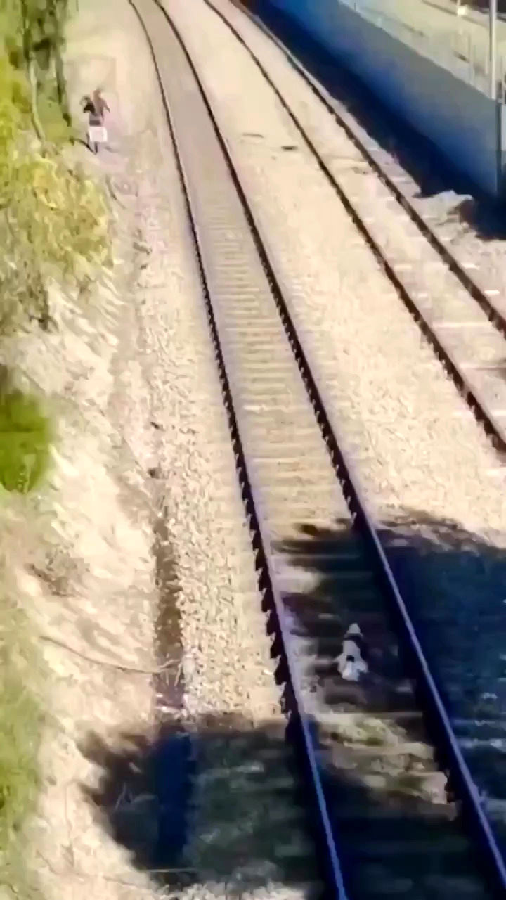 لحظه پرالتهاب نجات یک سگ از روی ریل قطار