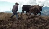 هشت اختراعی که جهان را برای همیشه تغییر داد