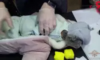 حمل مواد مخدر با بچه ای که گربه از آب در آمد! 