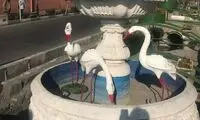 لک‌لک‌های مهاجر در آبنمای خیابان ولی عصر