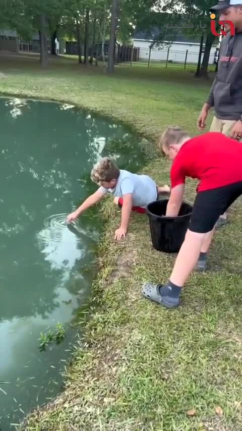 ماهیگیری جالب یک پسربچه با دستان خالی