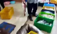 انگلیسی صحبت کردن مرد ماهی‌فروش آبادانی وایرال شد