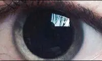 رابطه بزرگ ‌شدن مردمک چشم  با بهبود خلق‌و‌خو